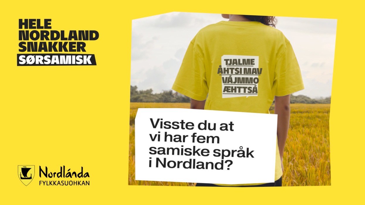 Hele Nordland Snakker Kampanje